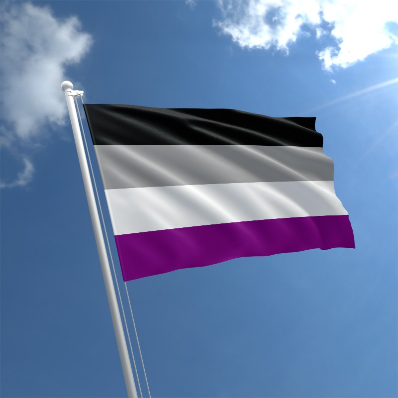 Asexual Flag Pride Priders